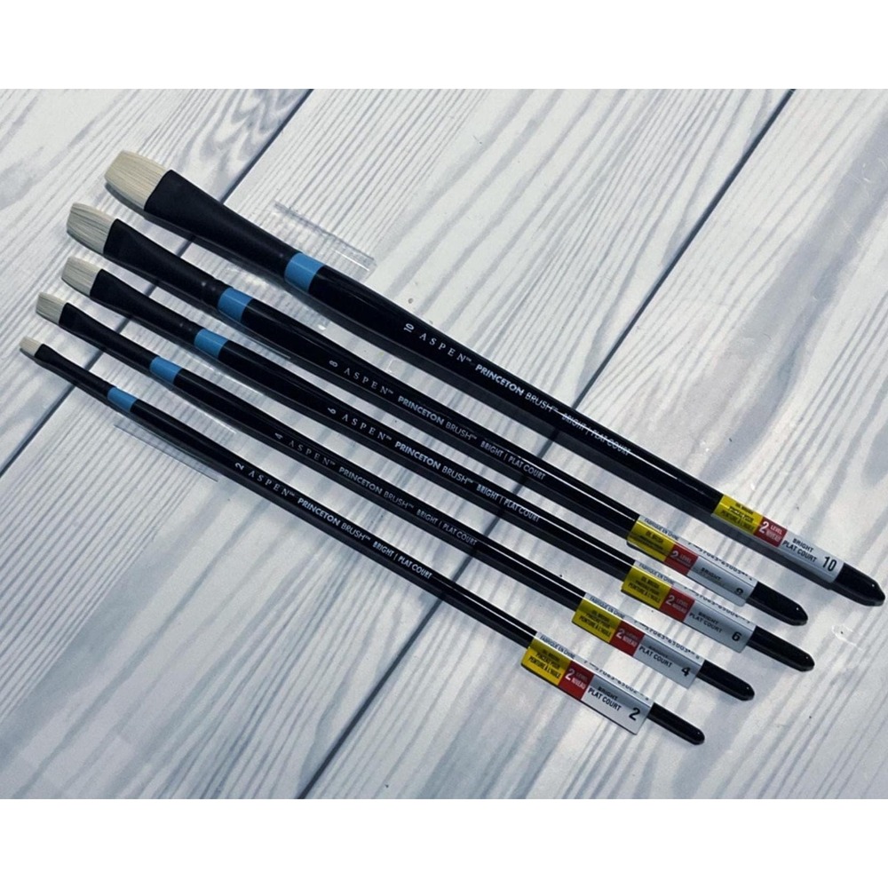 Princeton Aspen Oil Paint Brushes Bright 5pc Bundle Assorted‎ Sizes in Lot